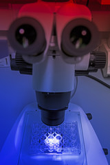 Microscope in the mystical light