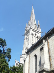 Fototapeta na wymiar toit cathedrale