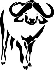 african water buffalo