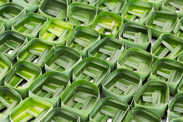 Fototapeta premium Pandan leaf bowl