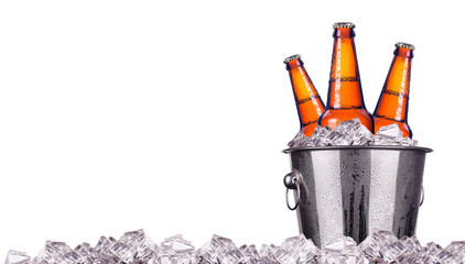 Beer bottles in ice bucket isolated - obrazy, fototapety, plakaty