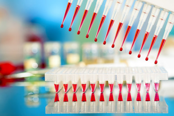 DNA samples are loaded to 96-well plate for PCR analysis