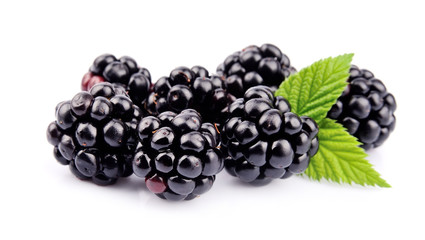 Blackberry fruit - obrazy, fototapety, plakaty