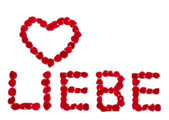 Liebe mit Rosenblättern