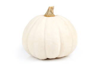 mini pumpkin isolated on white background
