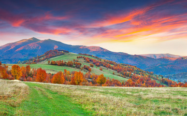 Fototapeta premium Colorful autumn landscape in the mountains. Sunrise