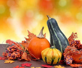 Harvested pumpkins with fall leaves