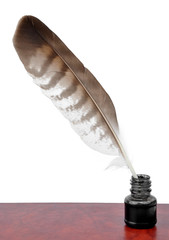 Feathers and ink bottle