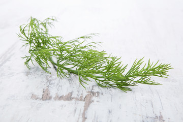 Culinary herbs. Dill.
