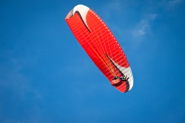 Poster Red paraglider flying in blue sky. © Zai Aragon