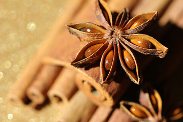 Christmas star anise and cinnamon