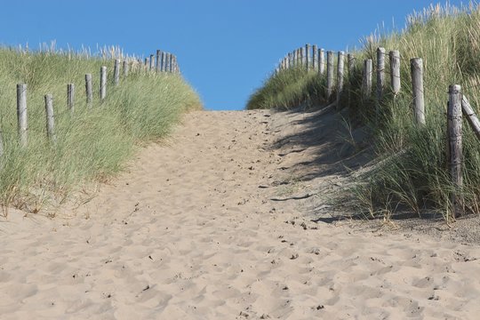 Weg in den D&uuml;nen an der niederl&auml;ndischen Nordseek&uuml;ste
