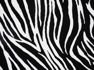 Texture of black and white zebra textile