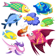 cartoon sea animal illusration collection