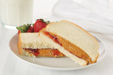 Peanut butter and jelly sandwich