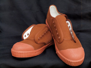 Pair of new canvas shoes