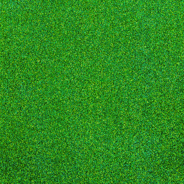 Green grass texture for background
