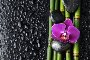spa concept-*thin grove and stone,red orchid