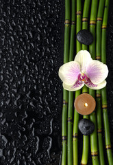 Spa still life on wet black background