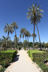 Fototapeta na wymiar Maria Luisa Park in Seville, Spain