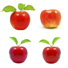 apples on a white background