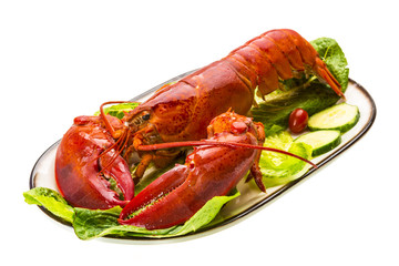 Large Lobster