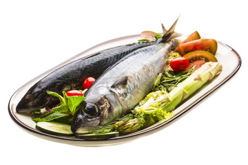 Atlantic raw sardine