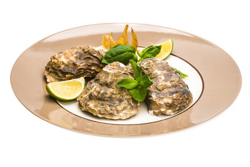 Fresh oyster