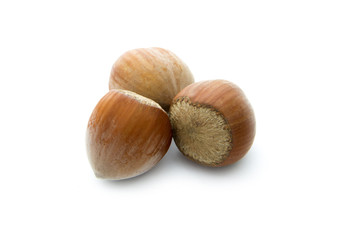 hazelnuts