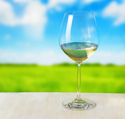 Glass of wine on nature background