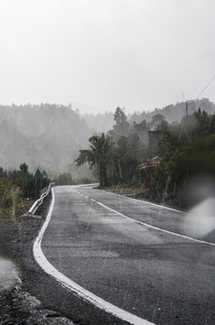 Tropical rainy road