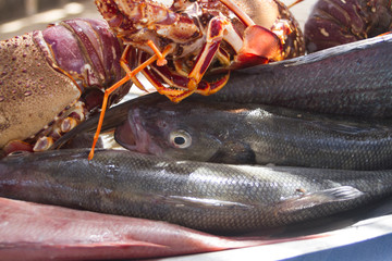 poisson et crustacé