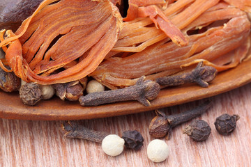 Indian spices with a wooden spoon