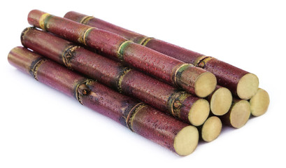 Fresh sugarcane