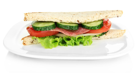 Tasty sandwich with salami sausage and vegetables
