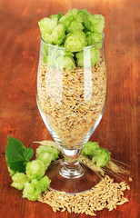 Glass of fresh green hops and barley, on wooden background