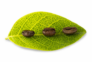 coffee grains and leaves