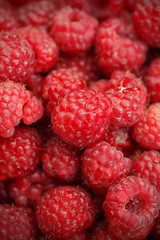 Ripe red raspberries