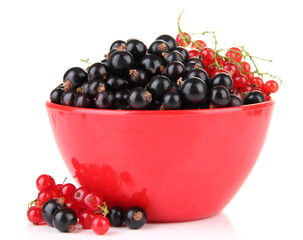 Red and black currant in bowl isolated on white