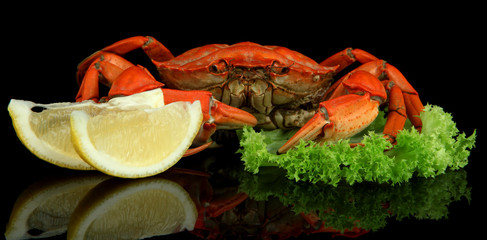 Boiled crabs isolated on black
