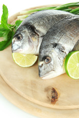 Dorado fish close-up