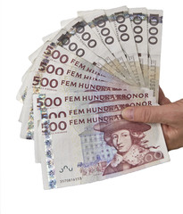Handfull of swedish money