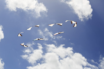 Stunt kites in large circle formation