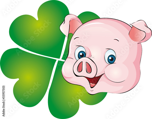 Fototapete Schwein Mit Kleeblatt Im Hintergrund - Fototapeten-Mareen  Vandelay