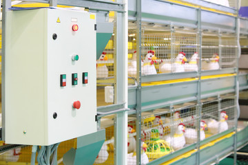 Demonstration of multilevel industrial incubator with soft toy