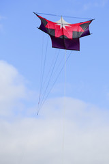 Obraz premium Japanese Sode Dako kite flying high