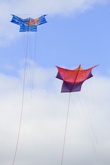  at the 2013 Bristol International Kite Festival