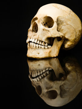 Human skull with mirror image isolated on black
