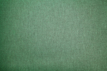 Fototapeta premium Abstract green background (canvas)