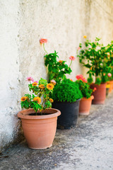 flowerpots